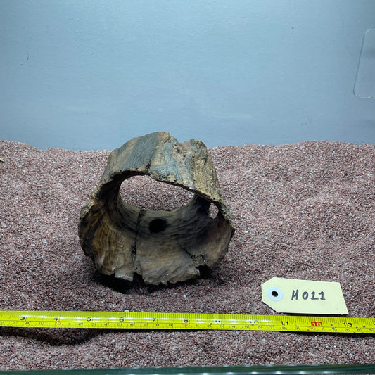 Hollow Cave Wood
