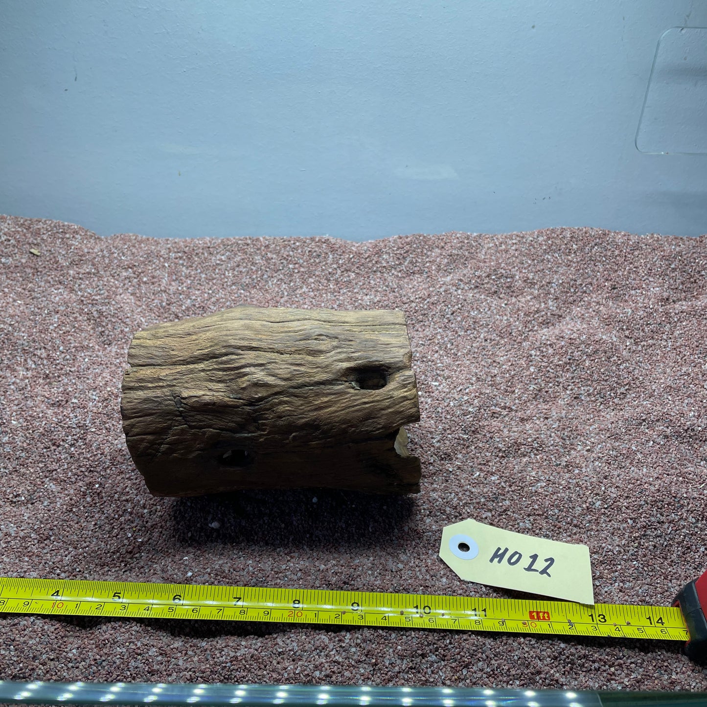Hollow Cave Wood