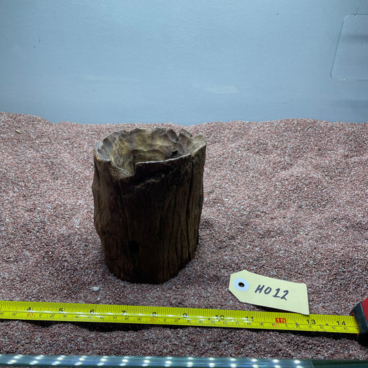 Hollow Cave Wood