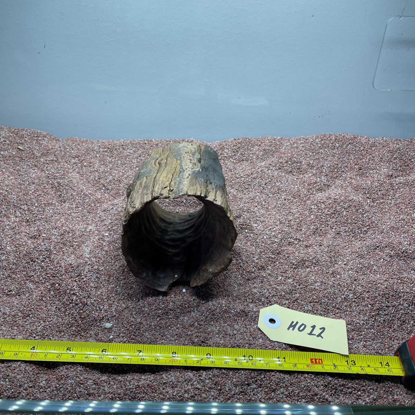 Hollow Cave Wood