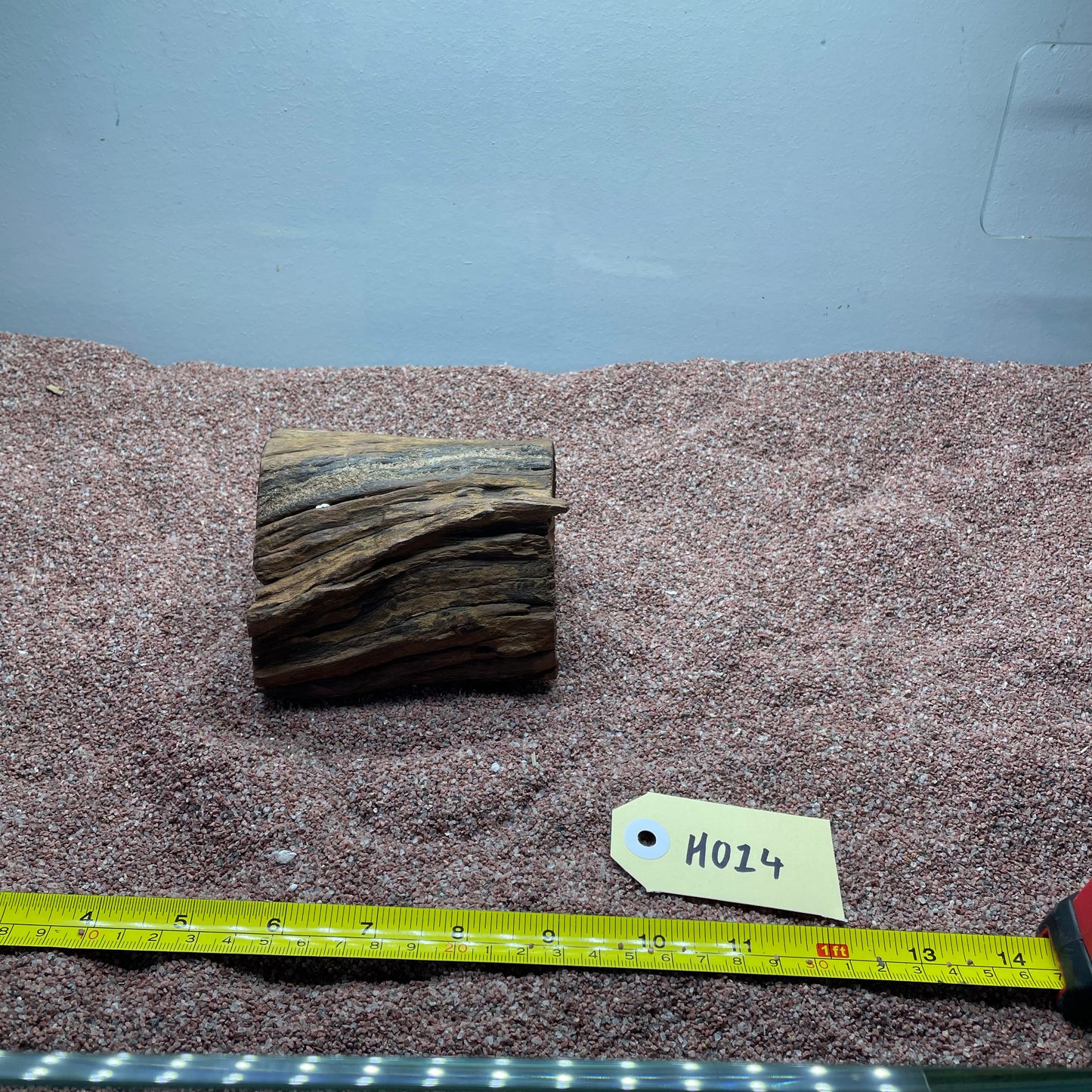Hollow Cave Wood