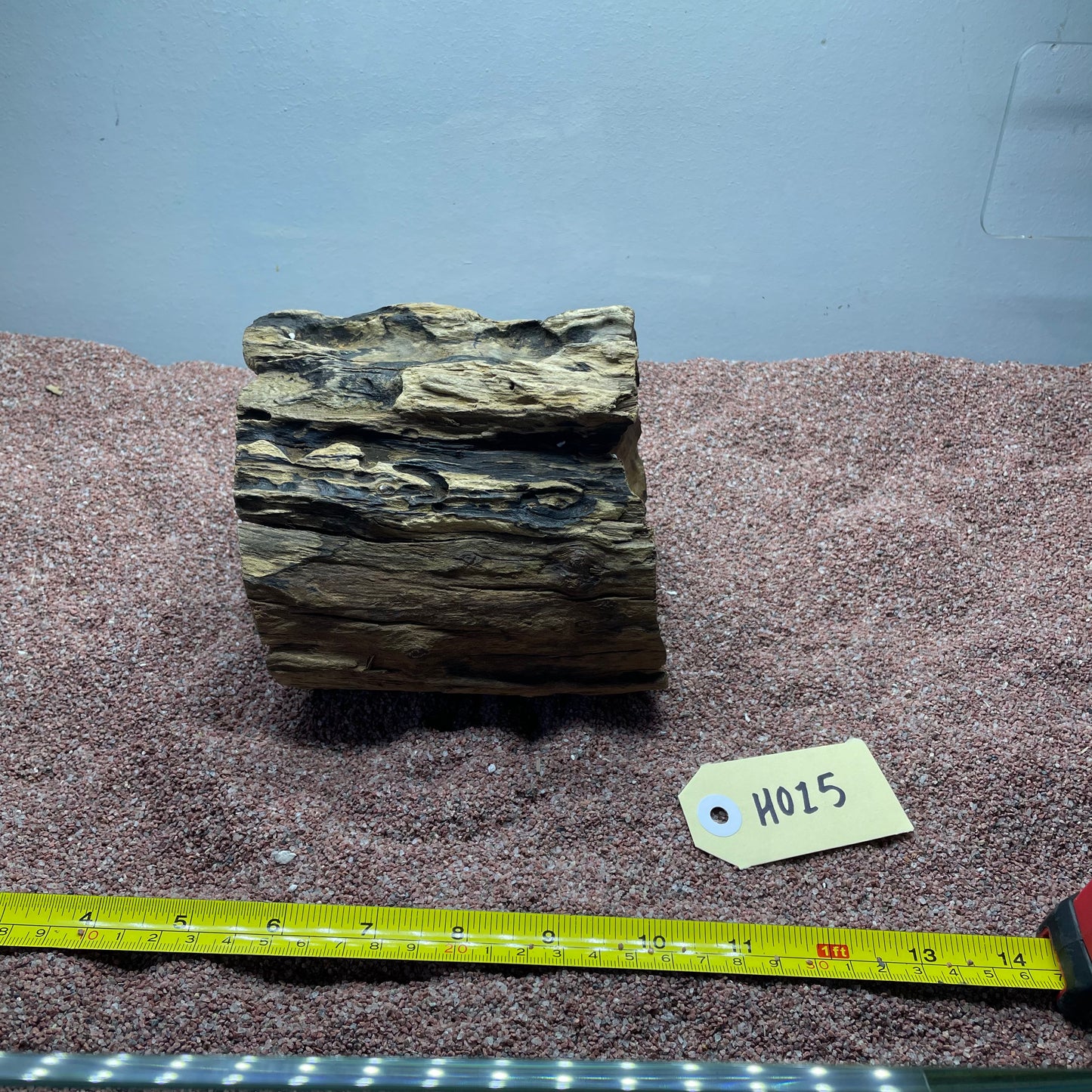 Hollow Cave Wood