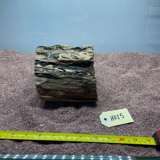 Hollow Cave Wood
