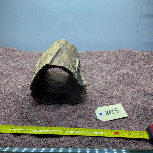 Hollow Cave Wood