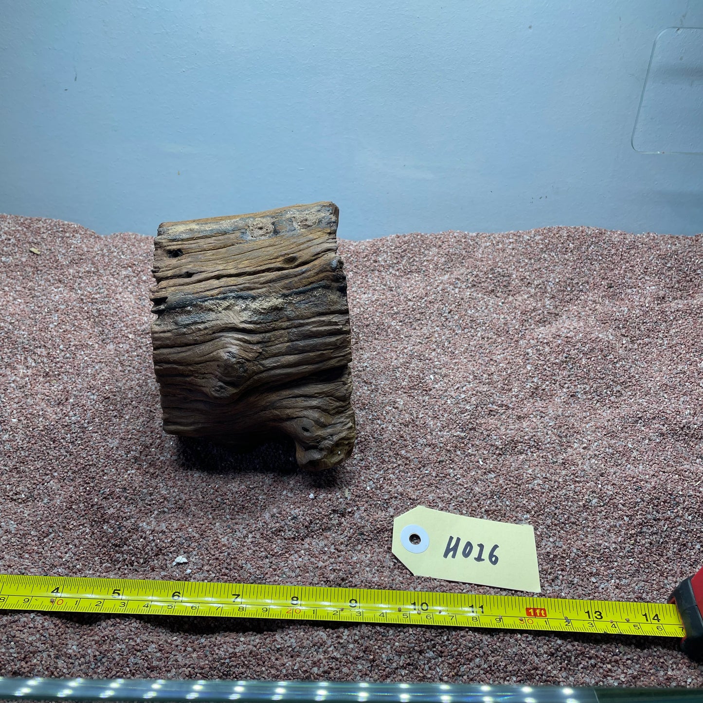 Hollow Cave Wood