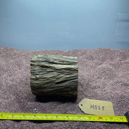 Hollow Cave Wood
