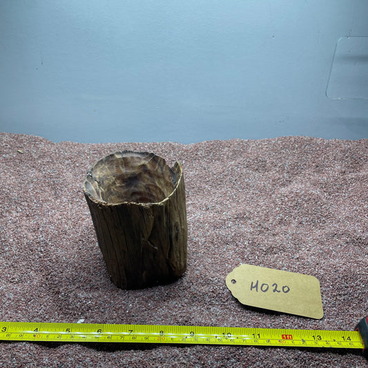 Hollow Cave Wood