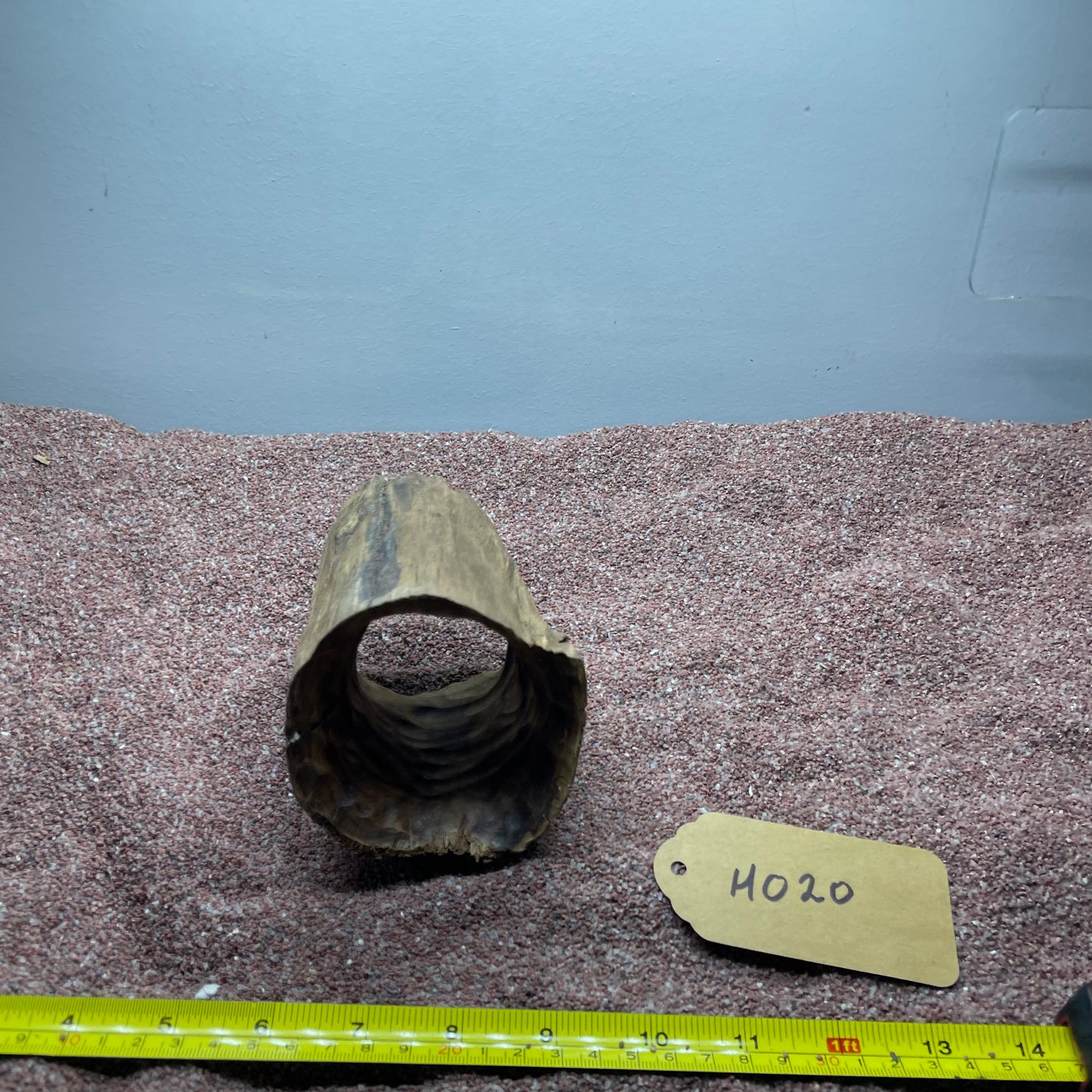 Hollow Cave Wood