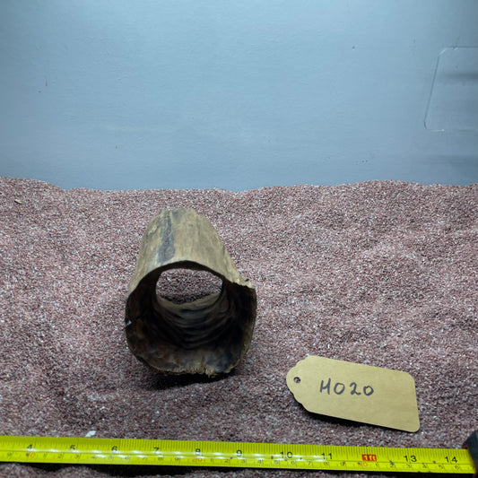 Hollow Cave Wood