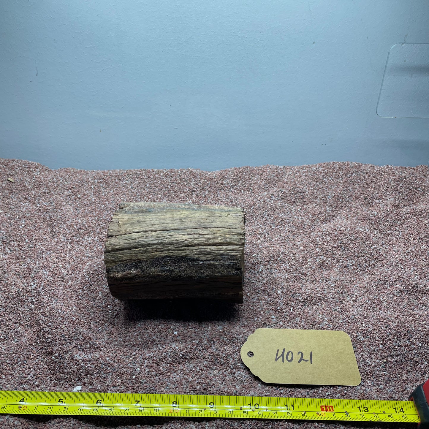 Hollow Cave Wood