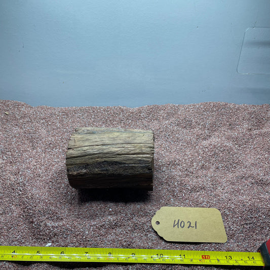 Hollow Cave Wood