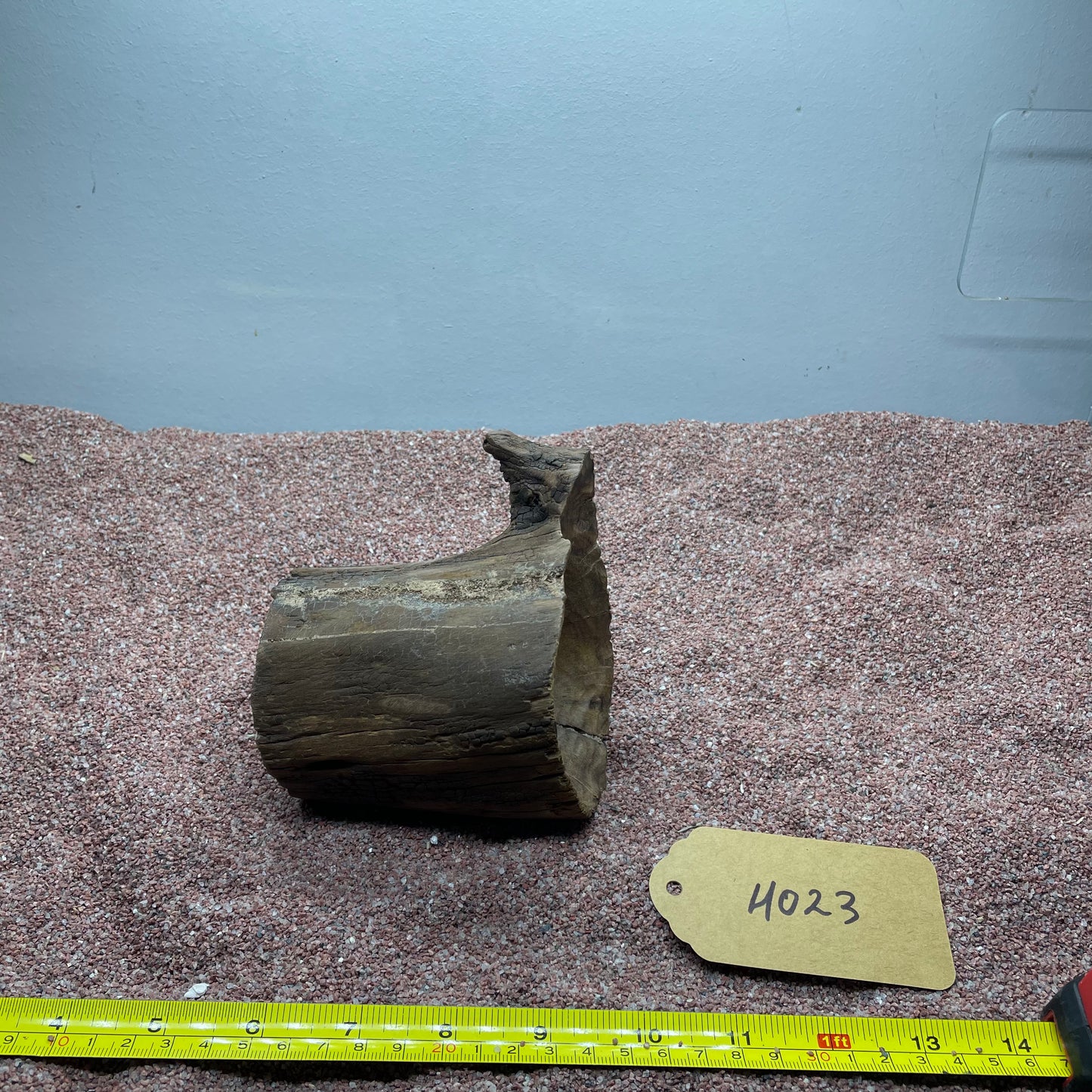 Hollow Cave Wood