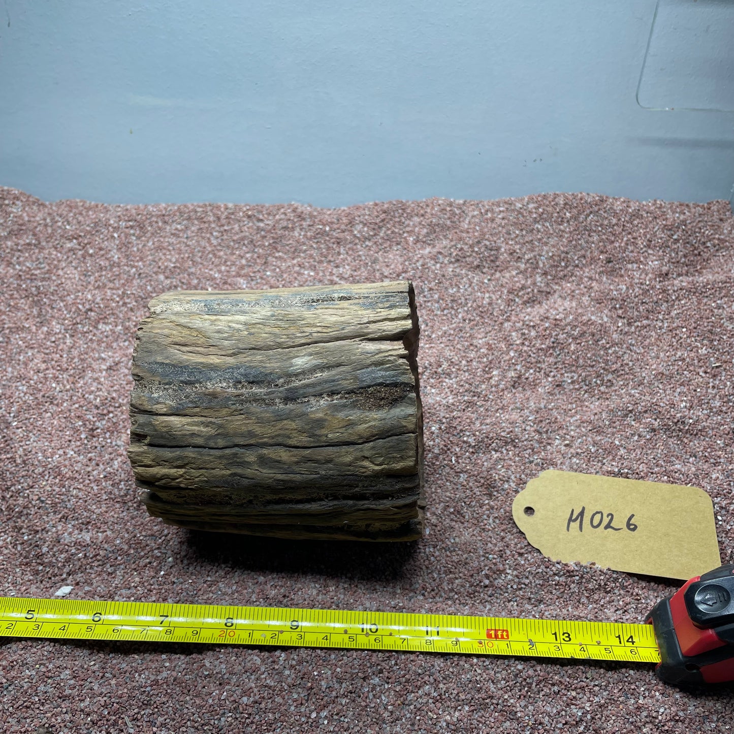 Hollow Cave Wood
