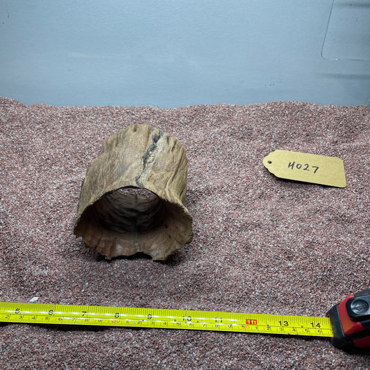 Hollow Cave Wood