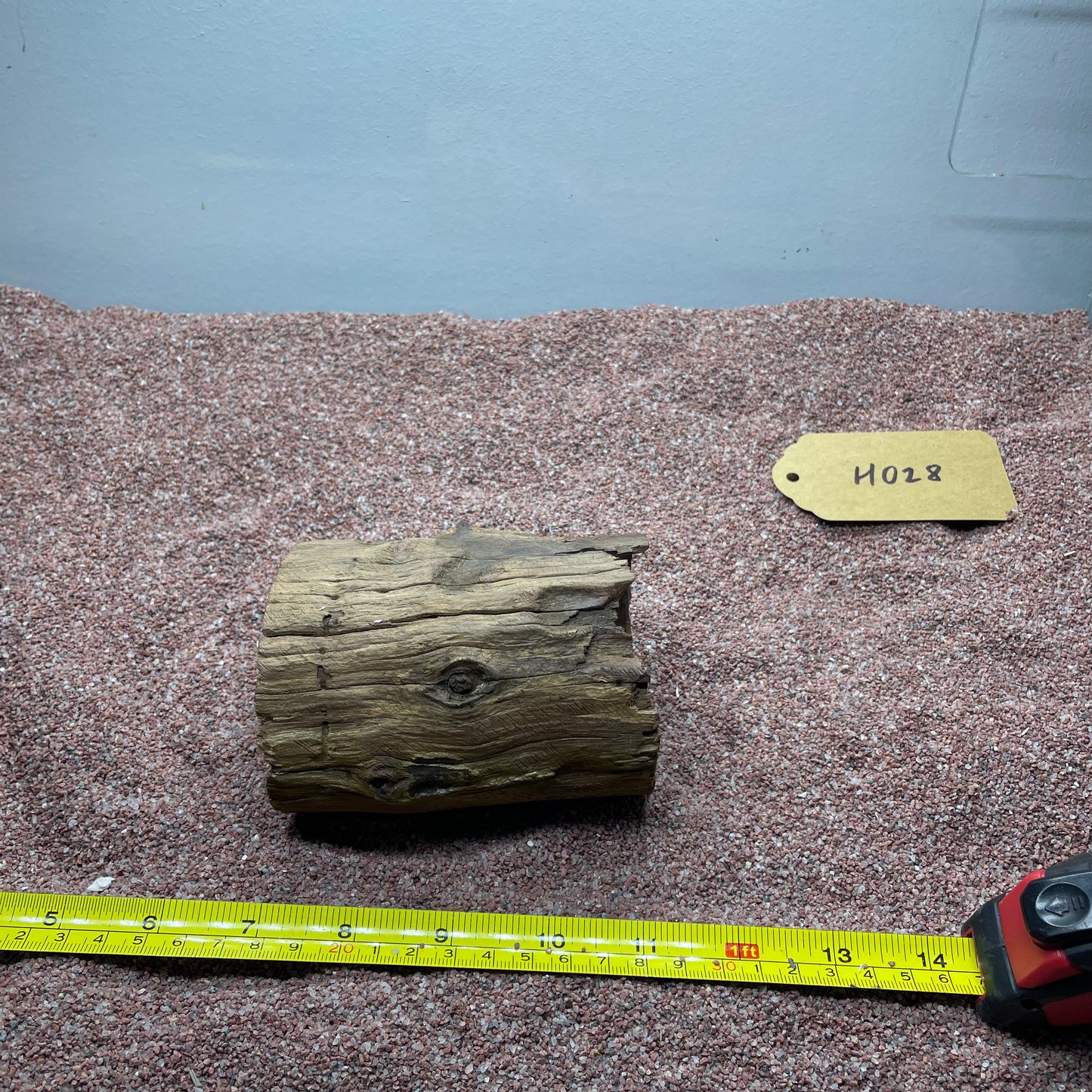 Hollow Cave Wood