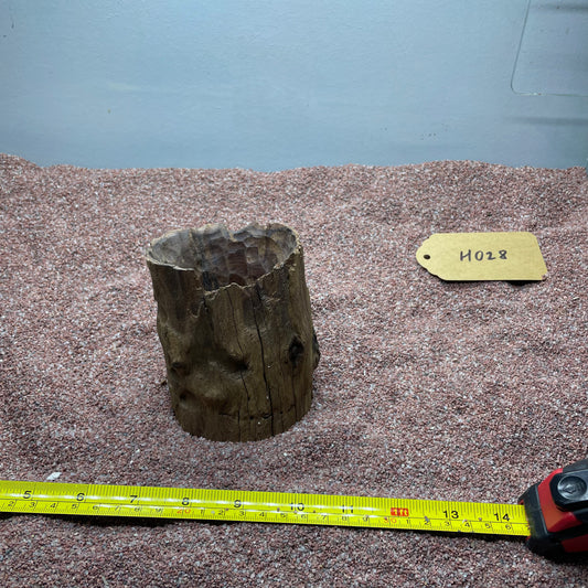 Hollow Cave Wood