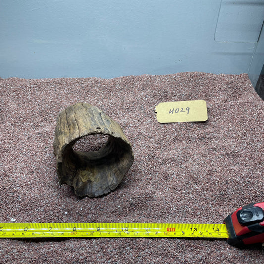 Hollow Cave Wood