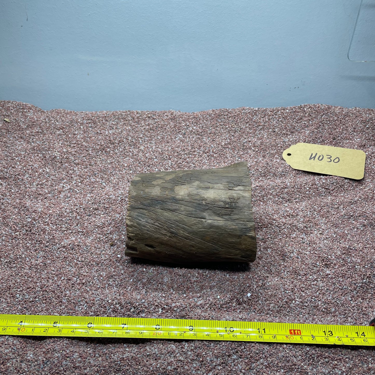 Hollow Cave Wood