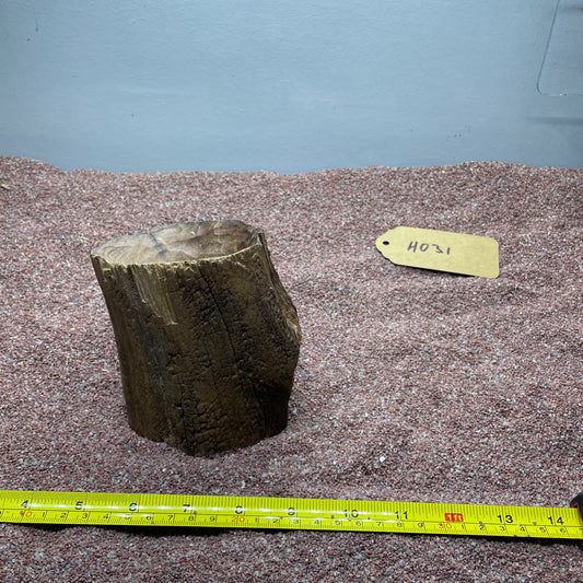 Hollow Cave Wood