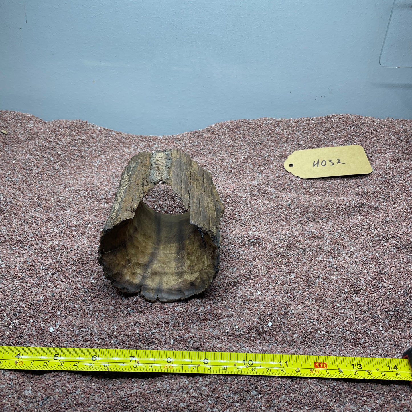 Hollow Cave Wood