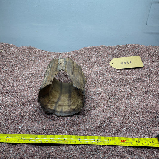 Hollow Cave Wood