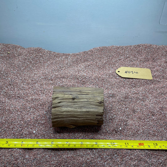 Hollow Cave Wood