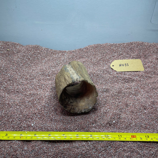Hollow Cave Wood