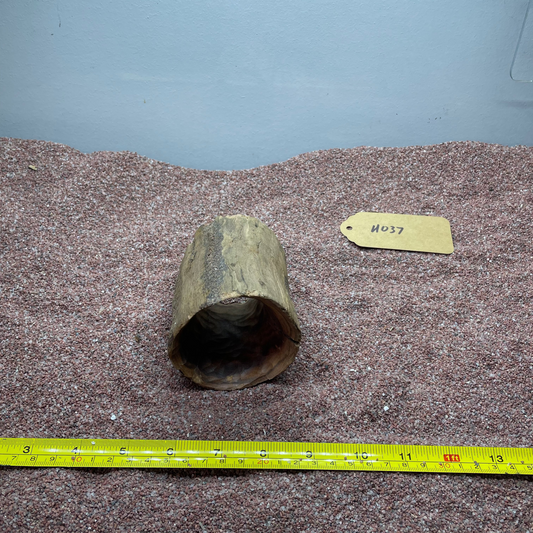 Hollow Cave Wood