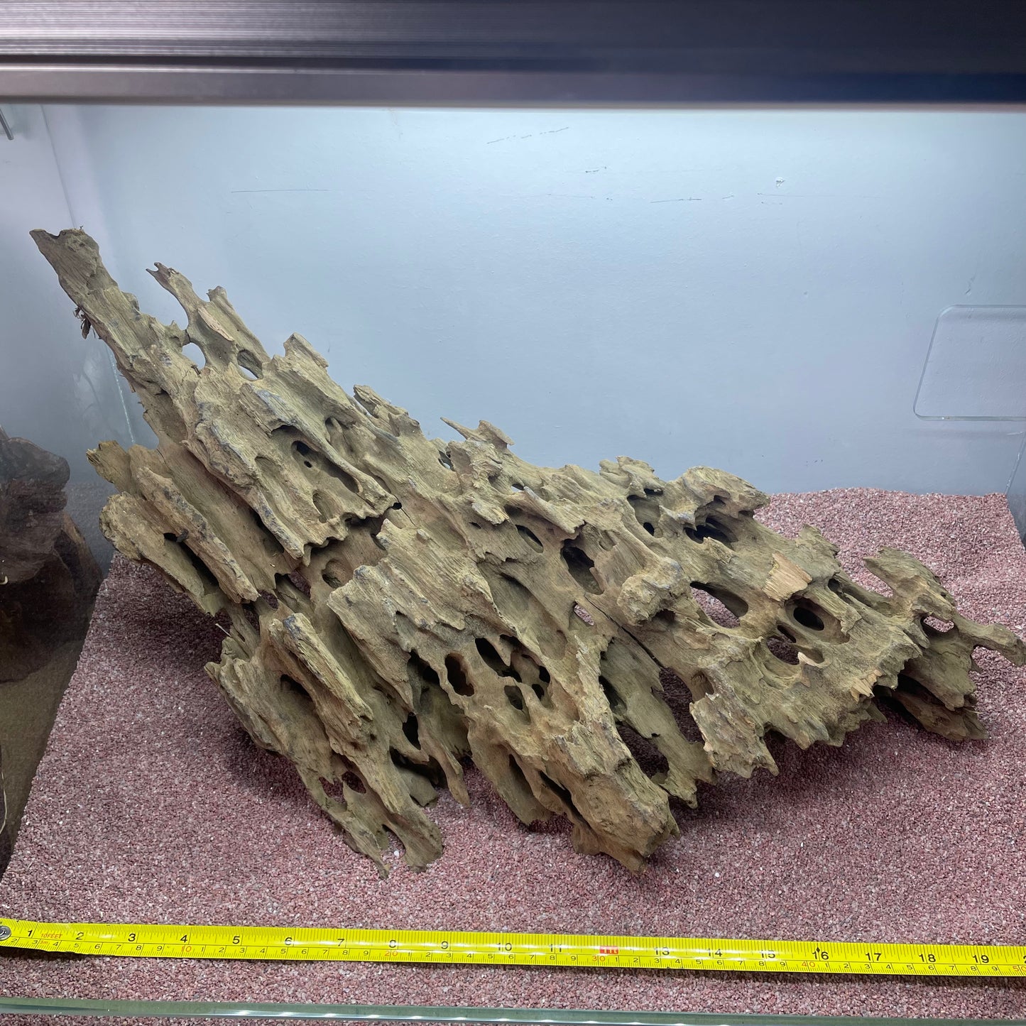 Dragon Wood