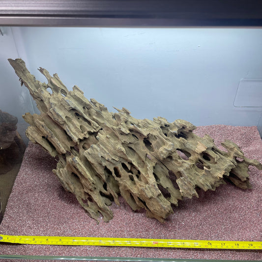Dragon Wood