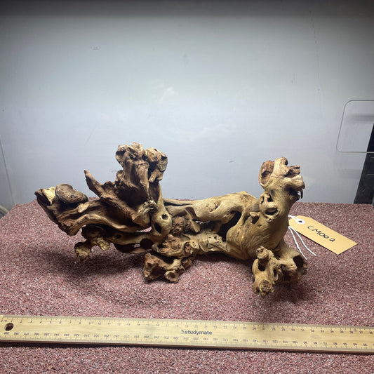 Coral Wood (Medium)