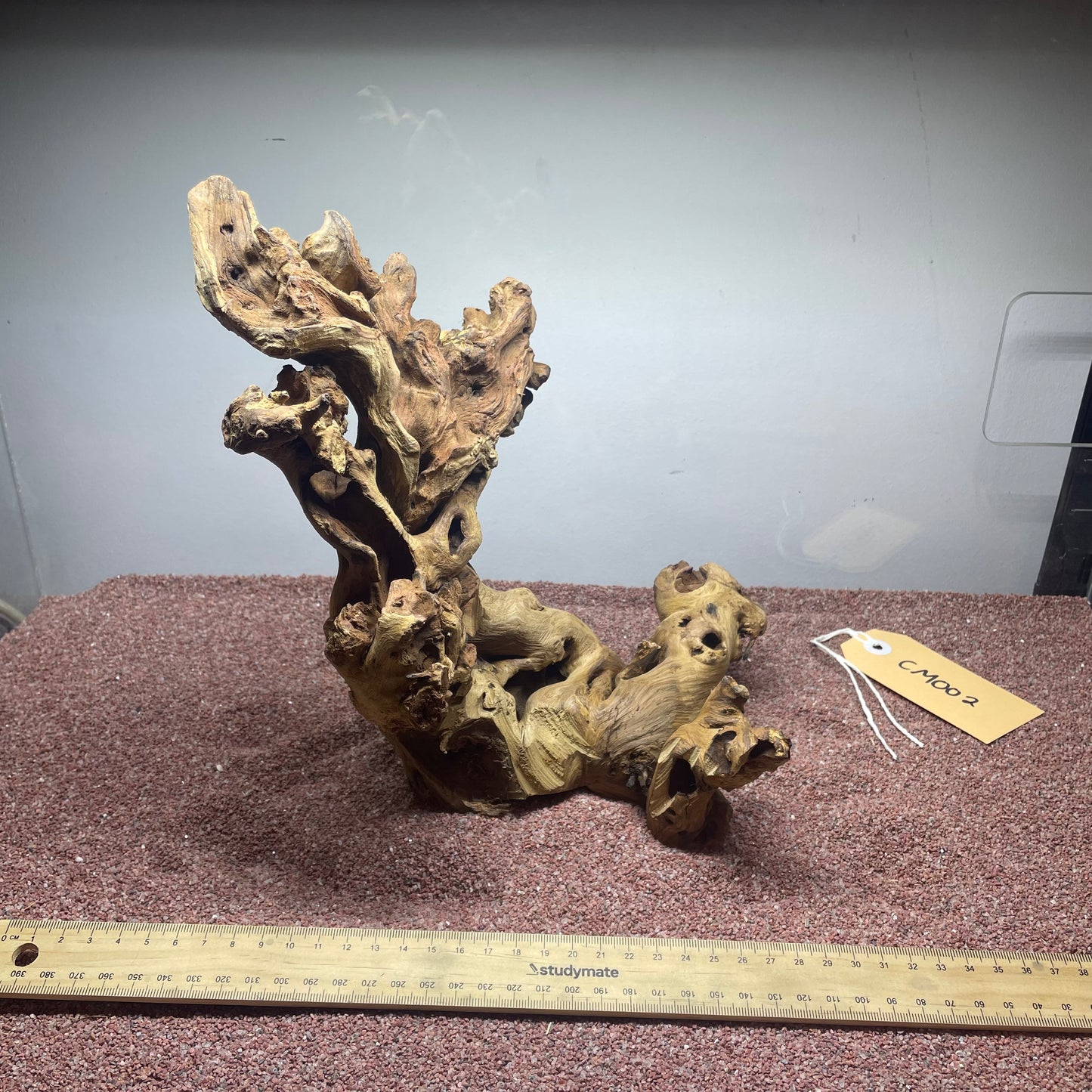 Coral Wood (Medium)