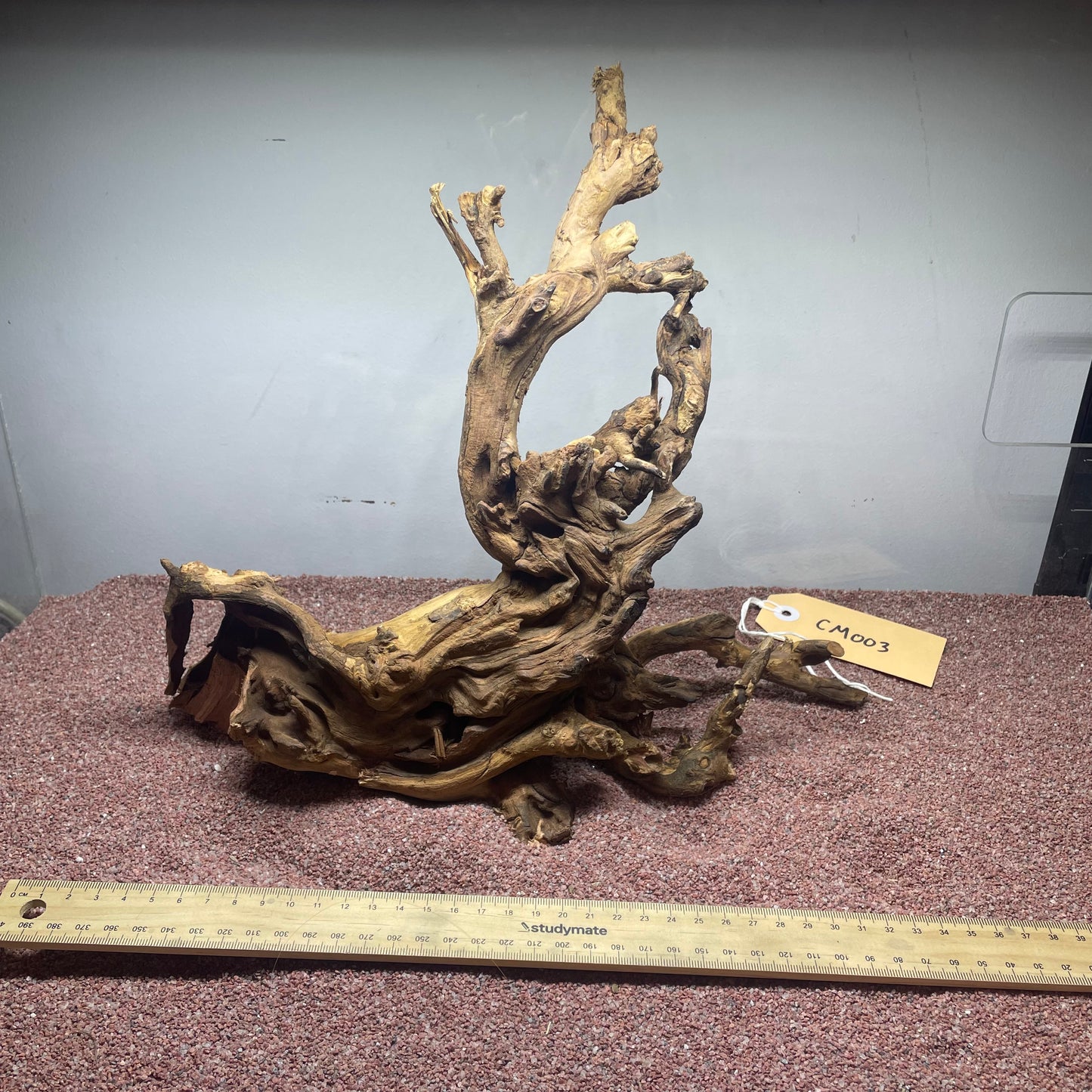Coral Wood (Medium)