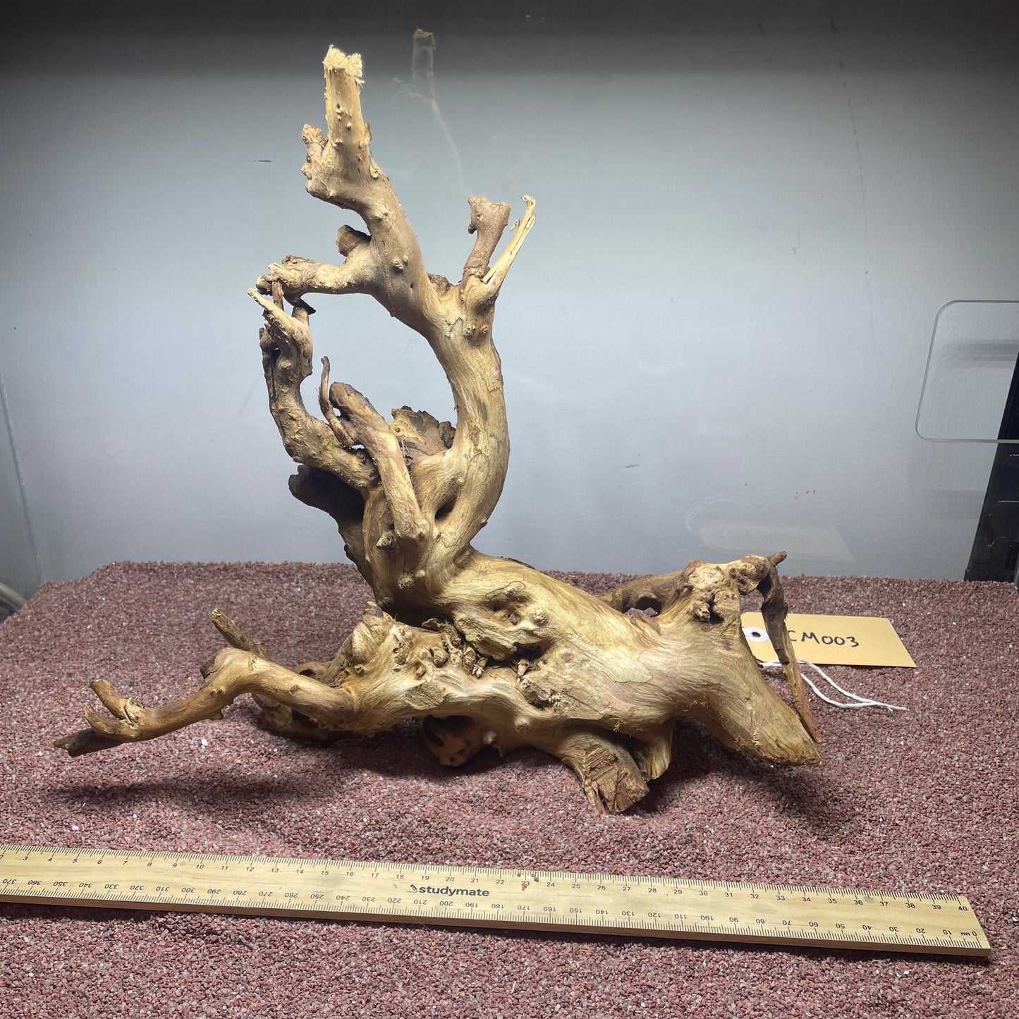 Coral Wood (Medium)