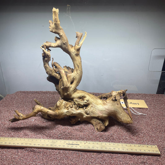 Coral Wood (Medium)