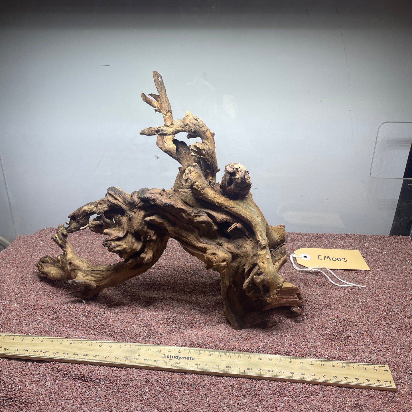 Coral Wood (Medium)