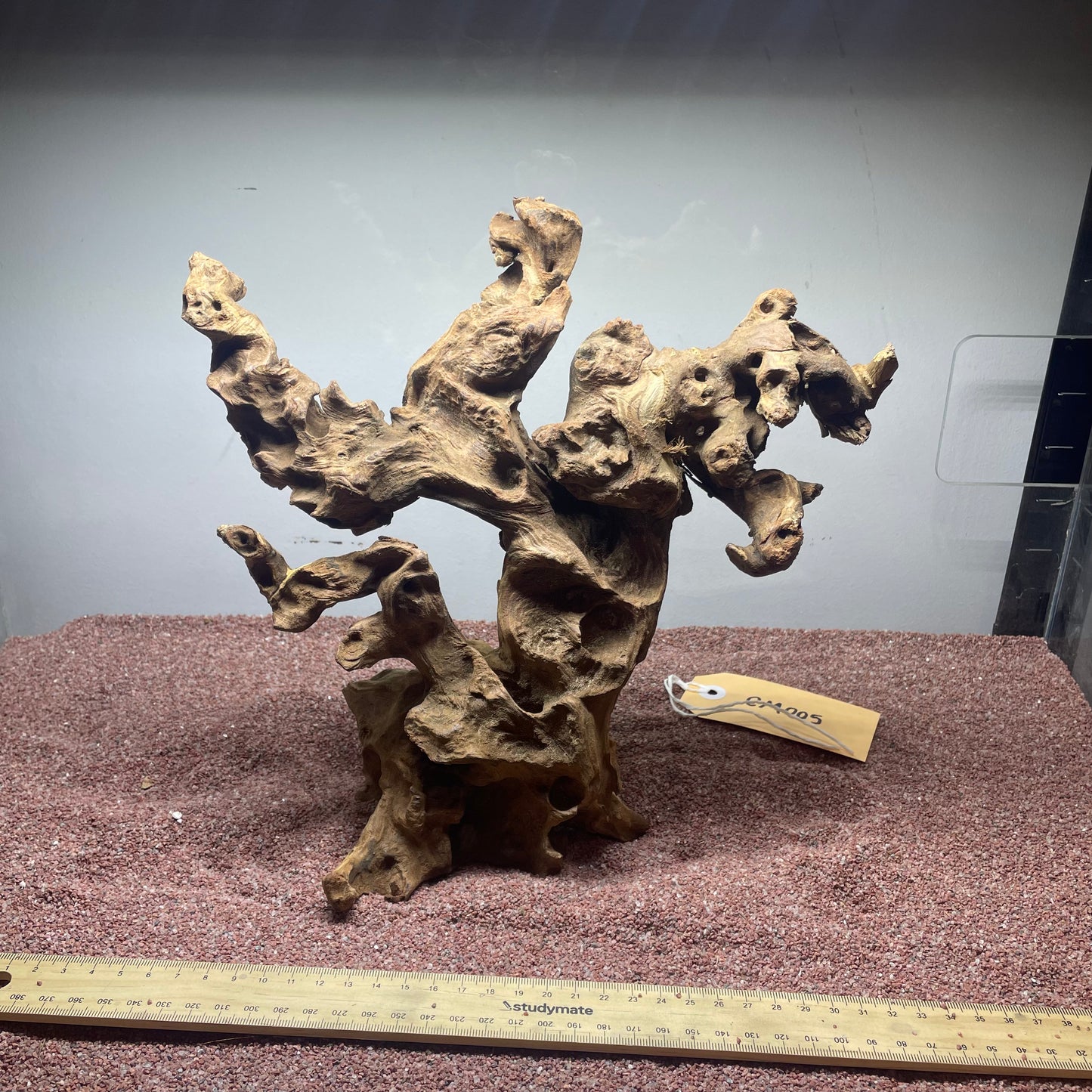 Coral Wood (Medium)