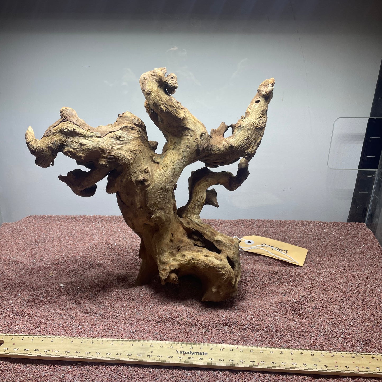 Coral Wood (Medium)