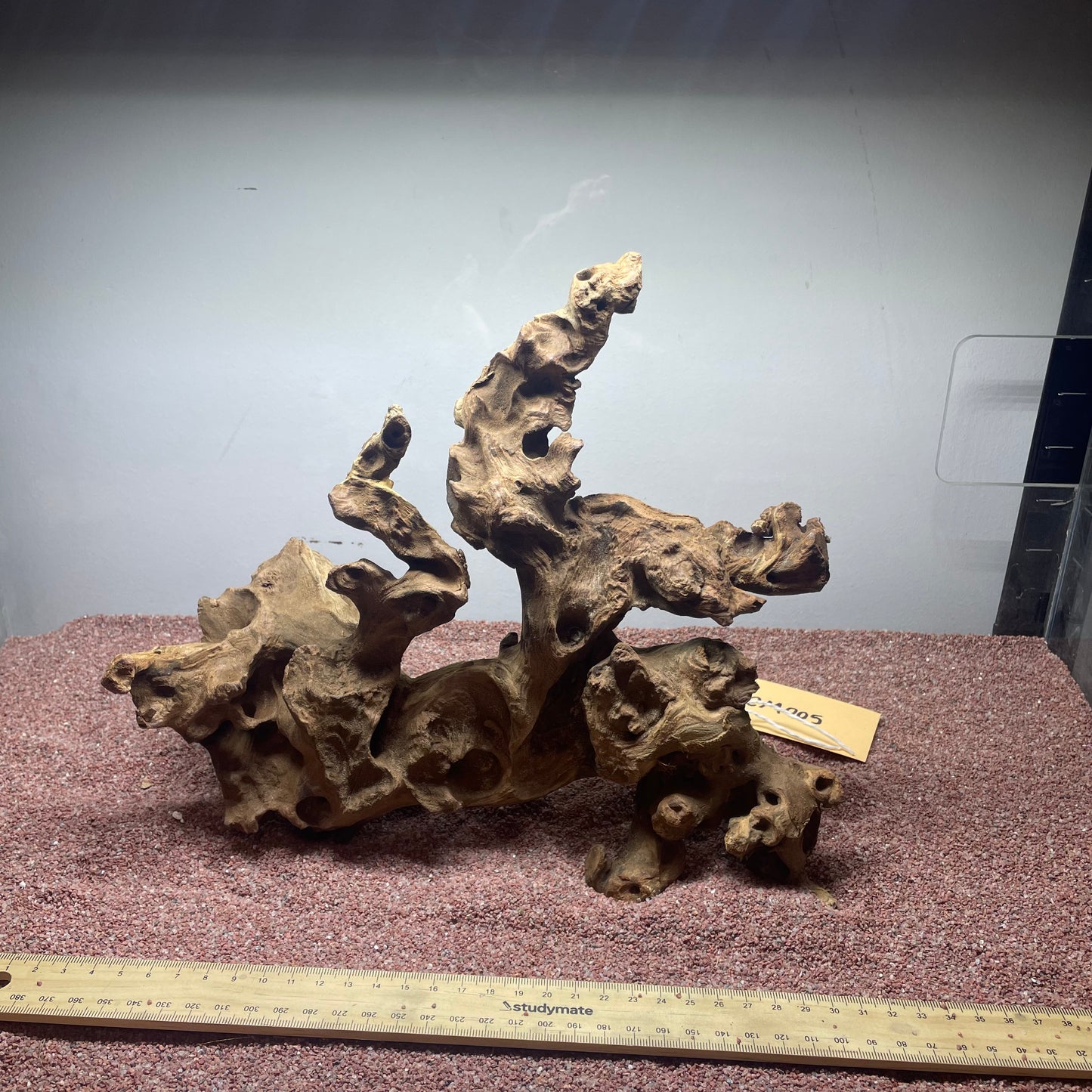 Coral Wood (Medium)