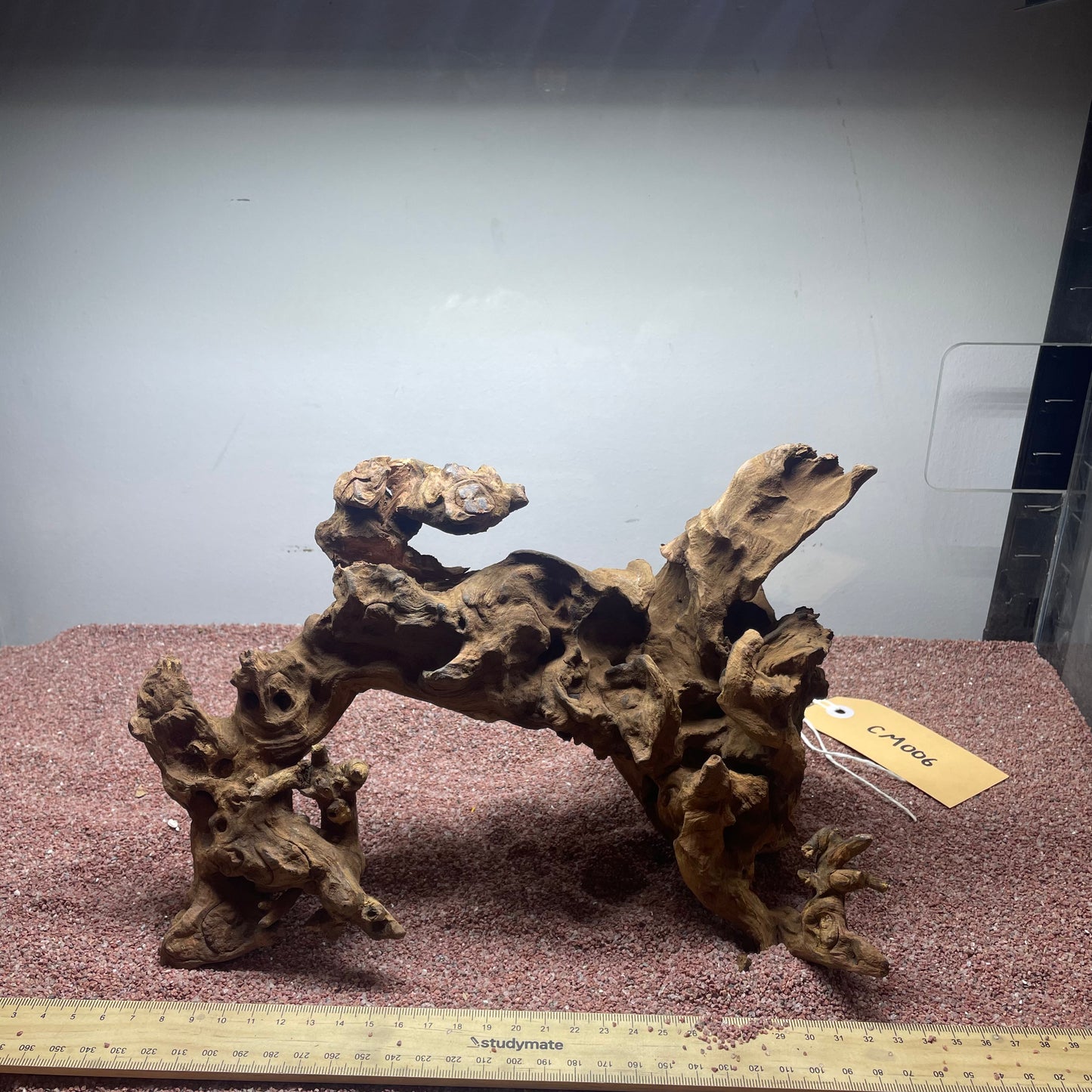 Coral Wood (Medium)