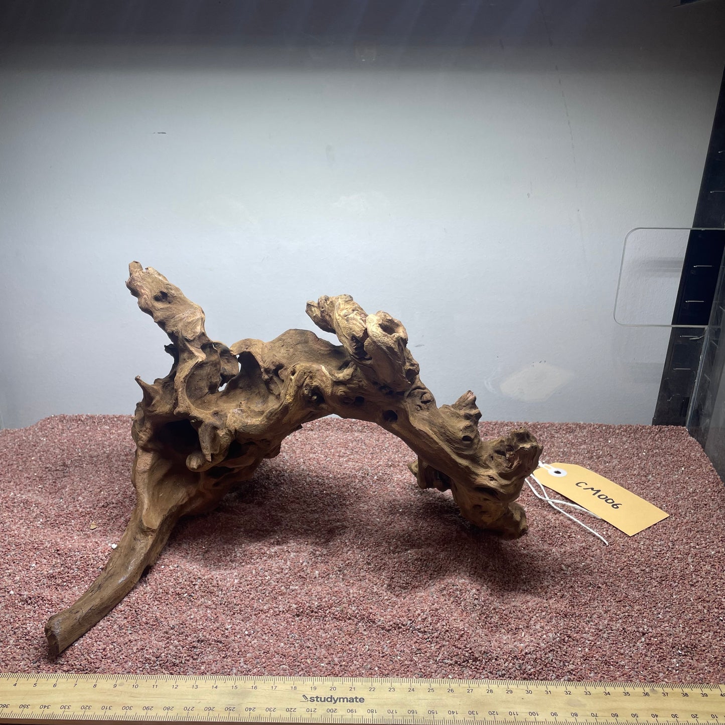 Coral Wood (Medium)