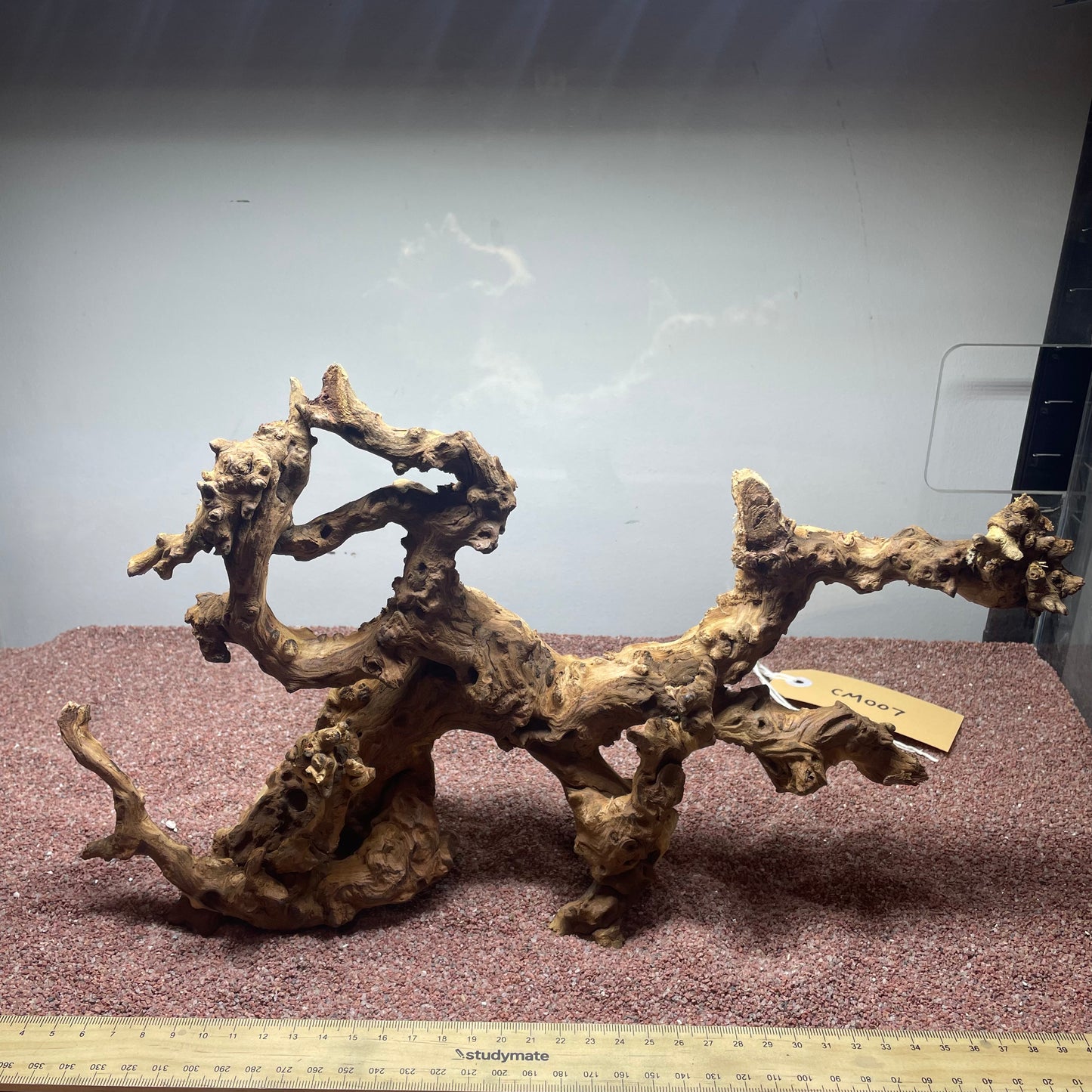 Coral Wood (Medium)