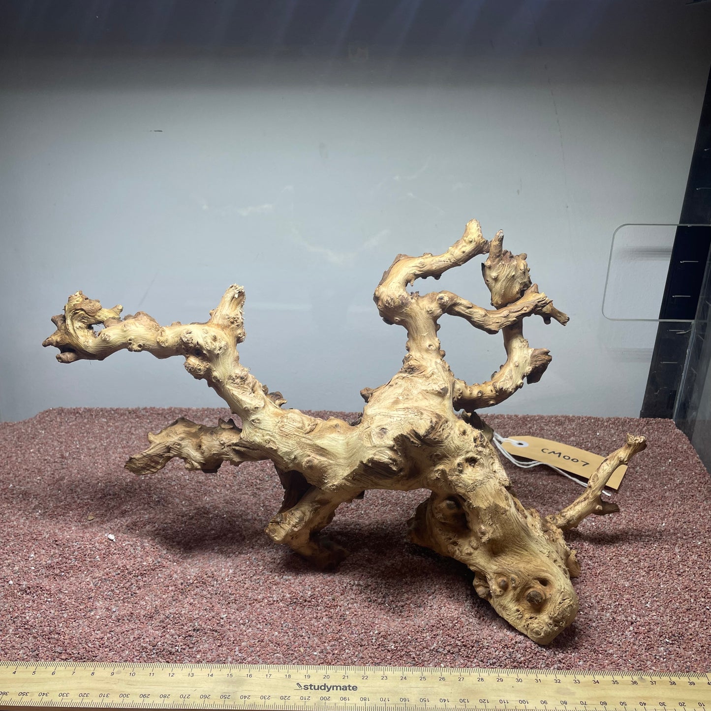 Coral Wood (Medium)