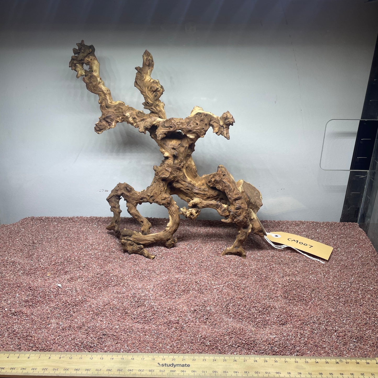 Coral Wood (Medium)