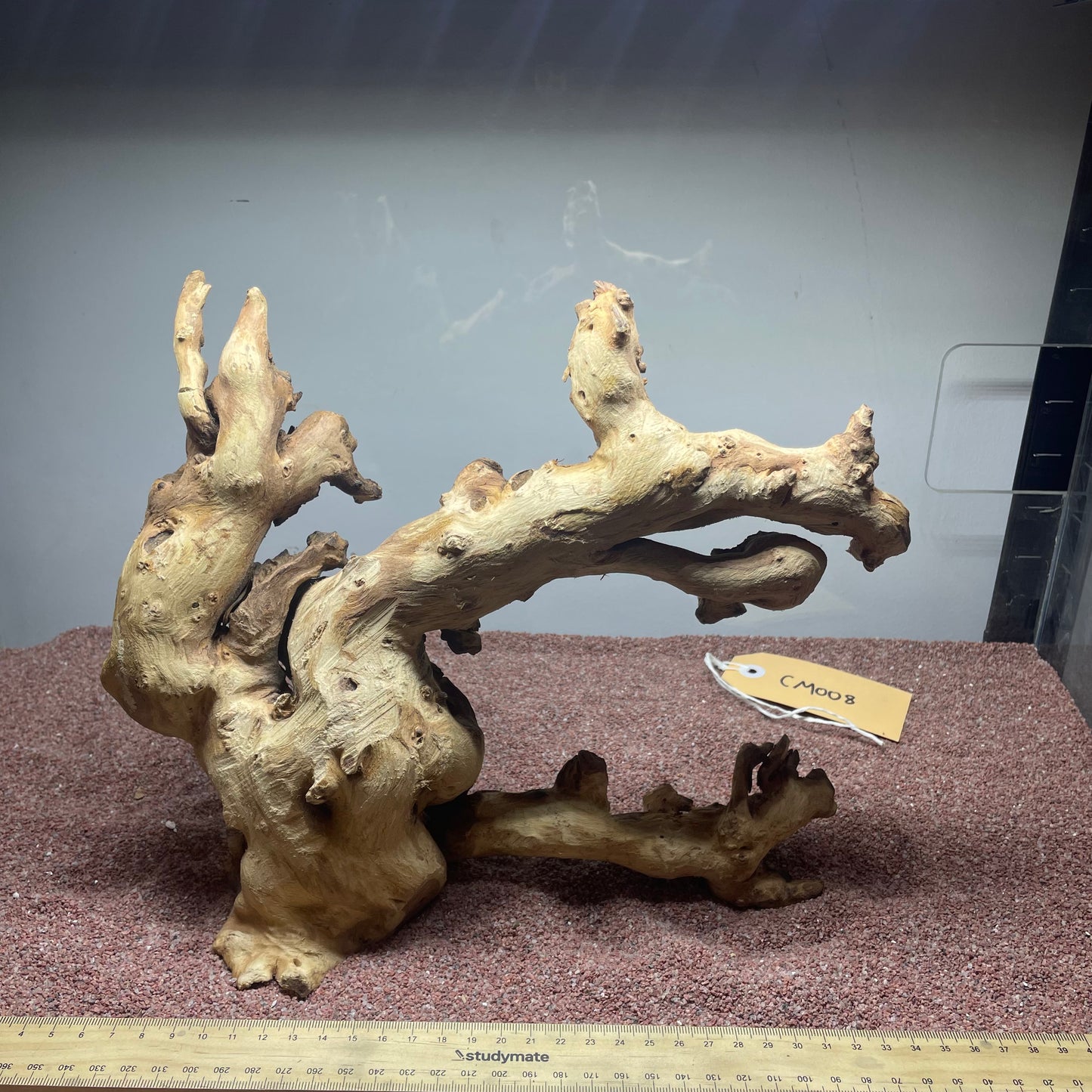 Coral Wood (Medium)