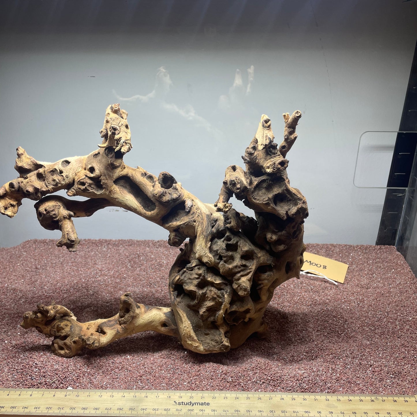 Coral Wood (Medium)