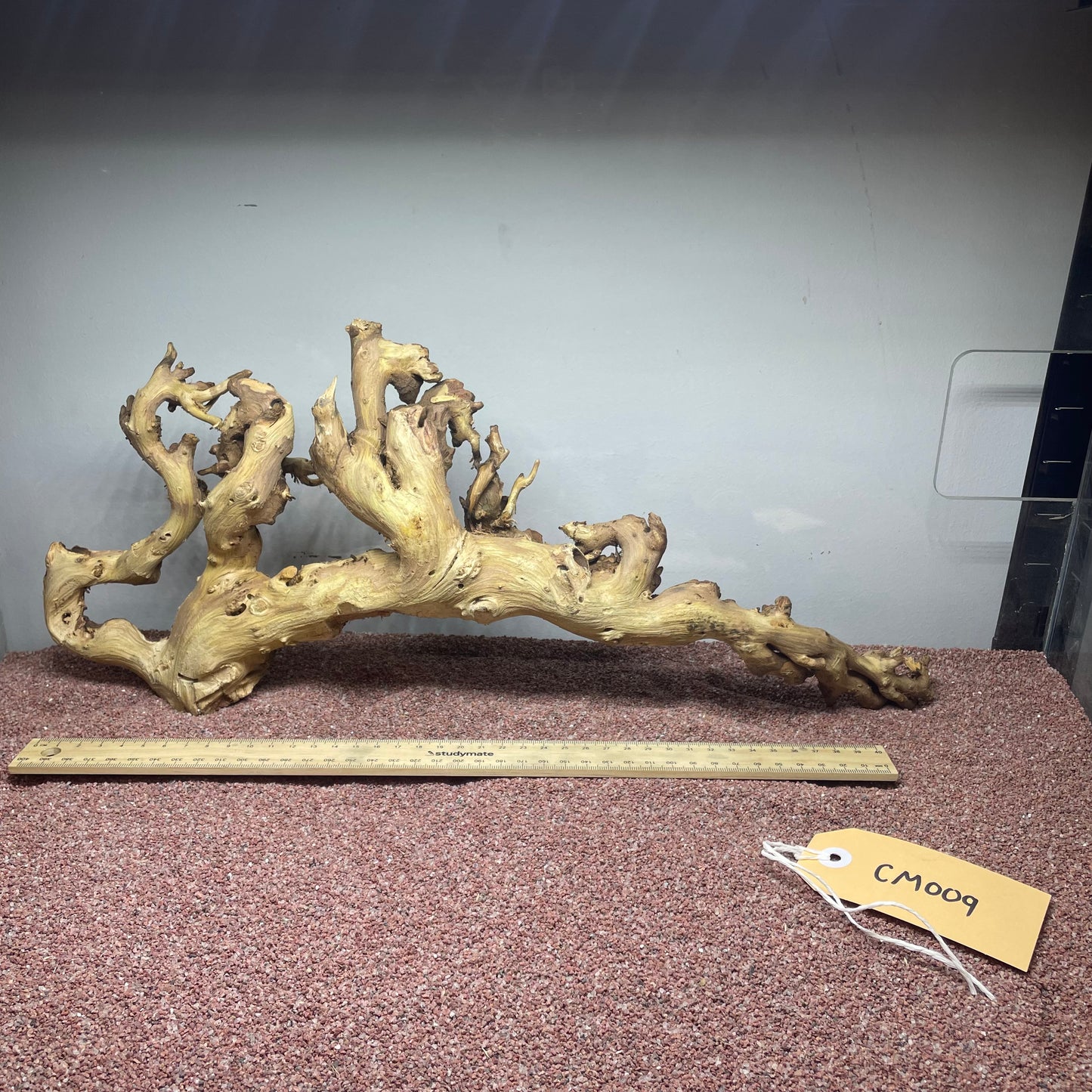 Coral Wood (Medium)