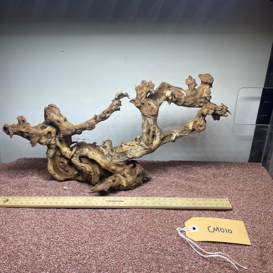 Coral Wood (Medium)