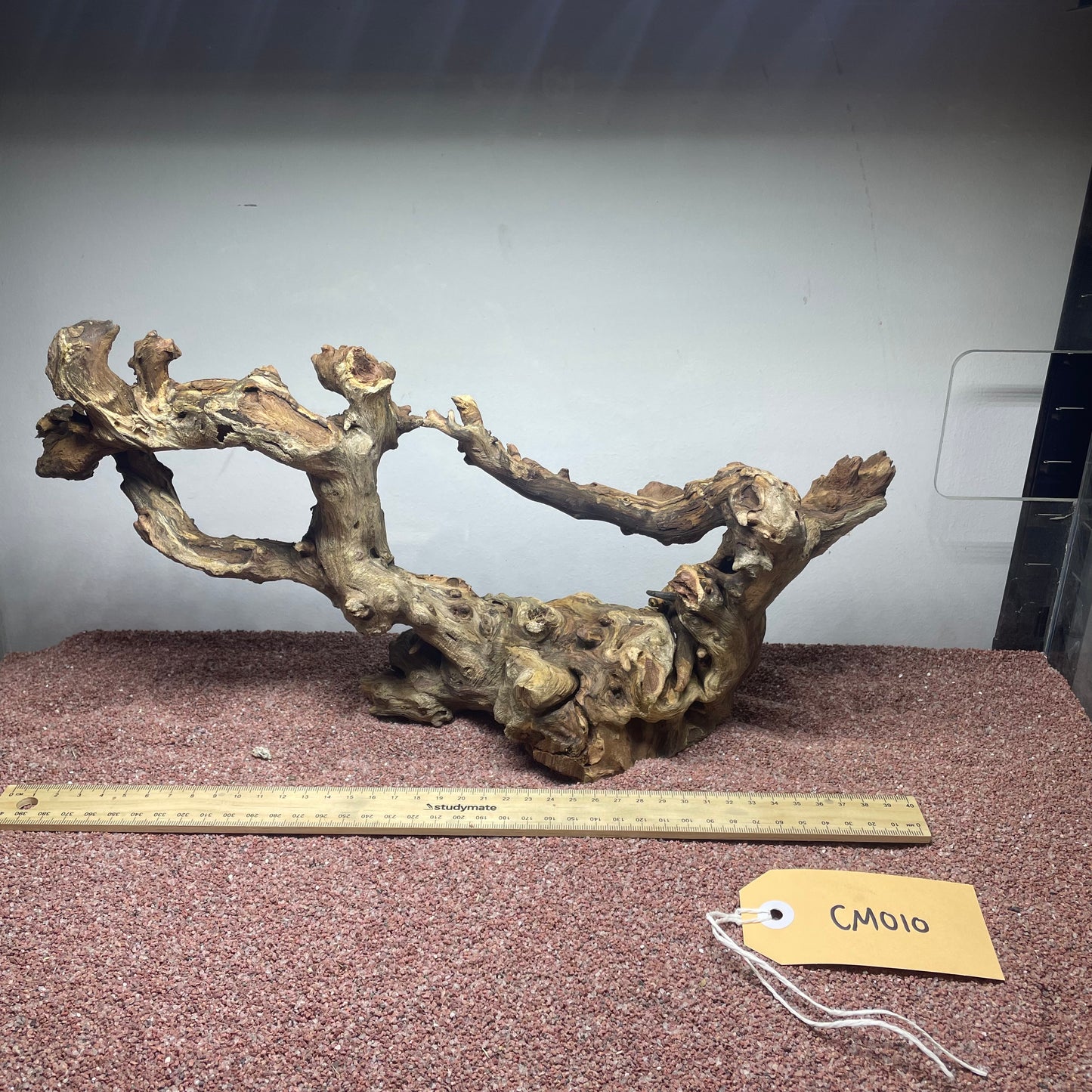 Coral Wood (Medium)