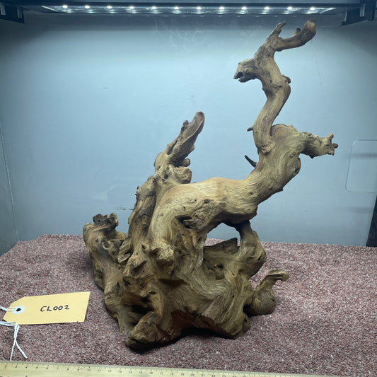 Coral Wood (Large)